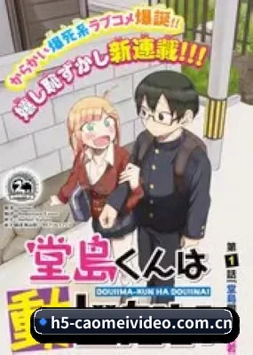 全域布局